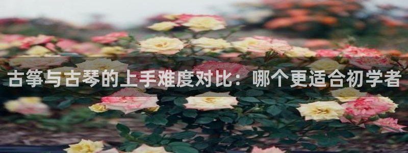 凯发k8官方网娱乐官方