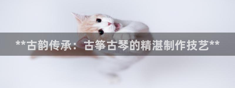 凯发网网站