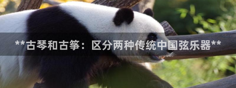 凯发平台8