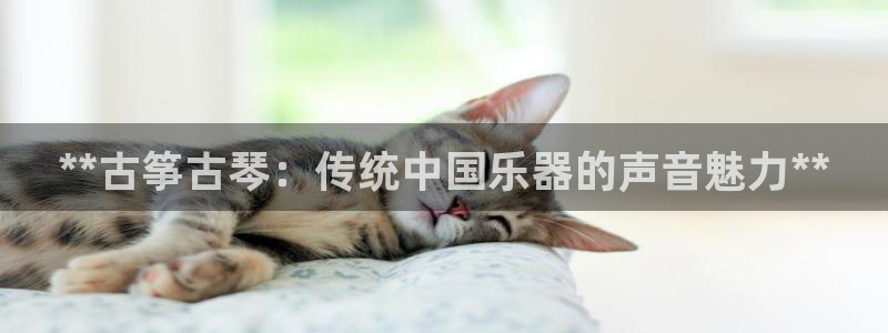 凯发app平台