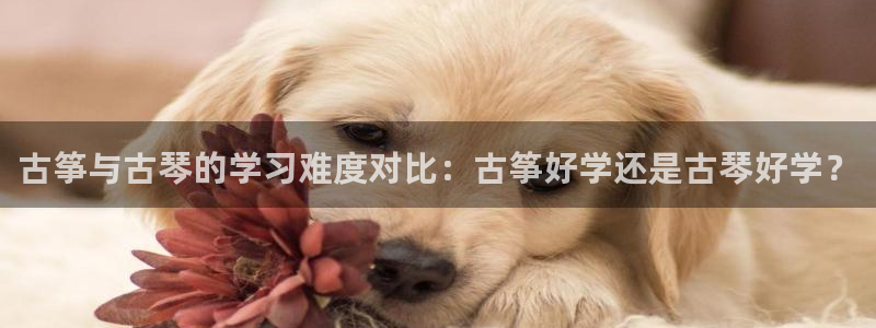 凯发官网地址