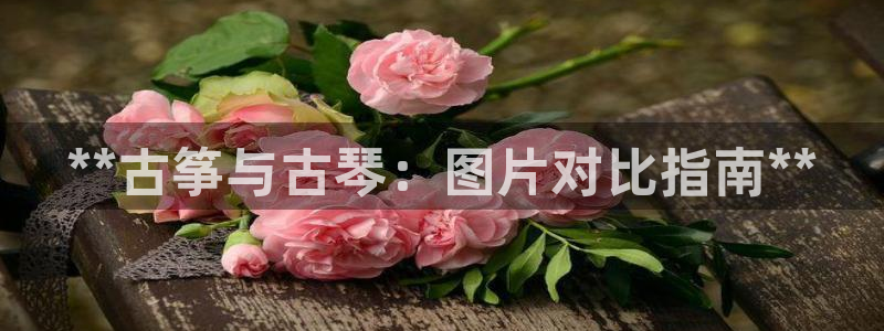 凯发旗舰网站