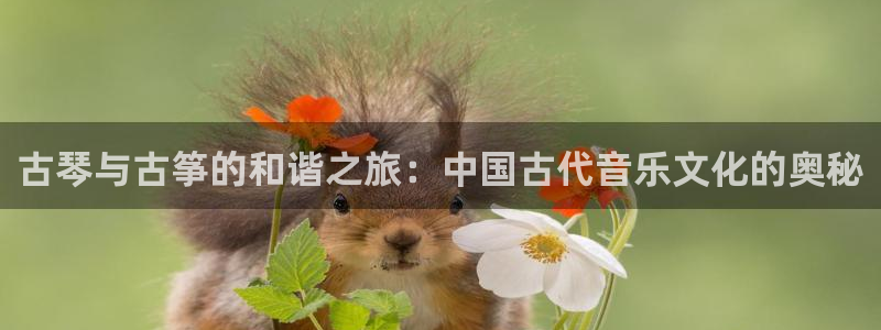 凯发k8娱乐注册登录：古琴与古筝的和谐之旅：中国古代音乐文化