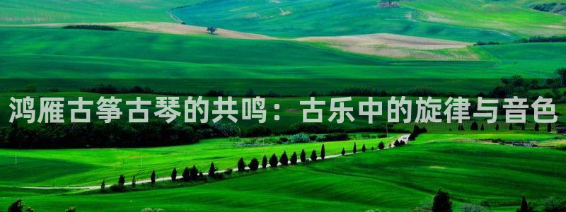 凯发网站是多少：鸿雁古筝古琴的共鸣：古乐中的旋律与音色
