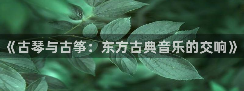 凯发娱乐国际厅：《古琴与古筝：东方古典音乐的交响》