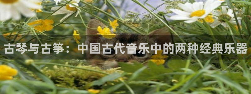 凯发k8旗舰店