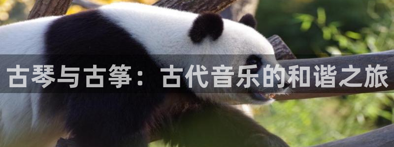 凯发k8娱乐官网最新版本：古琴与古筝：古代音乐的和谐之旅
