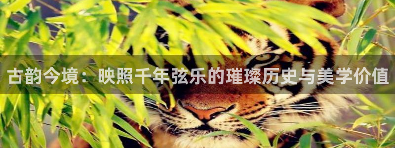 凯发线上官方网站下载网址