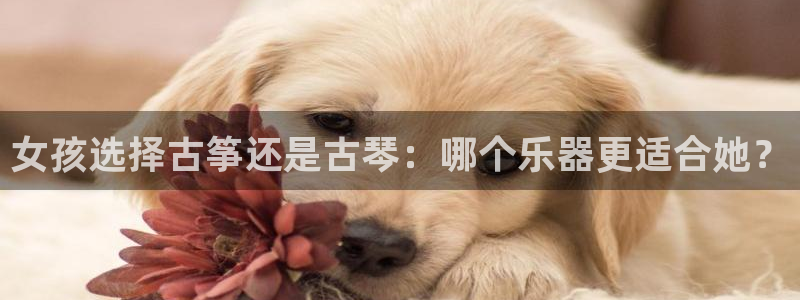 l凯发国际官网：女孩选择古筝还是古琴：哪个乐器更适合她？
