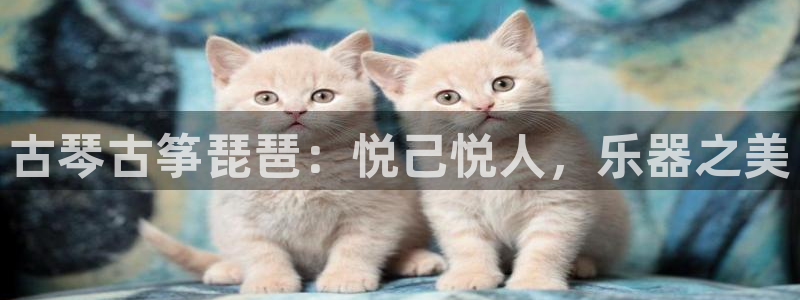 凯发k8官网下载客户端中心